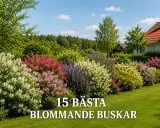En vacker trädgård med en rad blomstrande buskar i olika färger, från vitt och rosa till lila och gult. En doftande buske bidrar till den lummiga och inbjudande atmosfären.