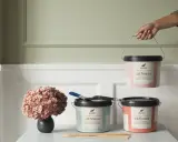 Färgglada burkar med Alcro ad.finess-färg står redo att hjälpa dig att designa rum. En pensel och en vacker hortensia kompletterar scenen.