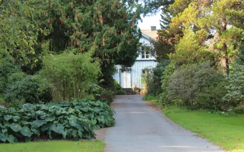 Vacker trädgård med en blåvit villa i bakgrunden. En grusväg leder fram till huset, kantad av frodiga växter och träd. Man ser hur man kan plantera buskar i grupp för att skapa en lummig miljö.