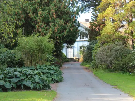Vacker trädgård med en blåvit villa i bakgrunden. En grusväg leder fram till huset, kantad av frodiga växter och träd. Man ser hur man kan plantera buskar i grupp för att skapa en lummig miljö.