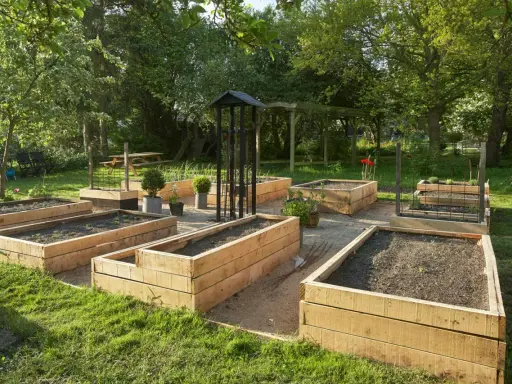 En vacker trädgård med flera nybyggda odlingslådor i trä, redo för plantering. Perfekt för att bygga odlingslåda och njuta av egenodlat.
