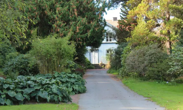 Vacker trädgård med en blåvit villa i bakgrunden. En grusväg leder fram till huset, kantad av frodiga växter och träd. Man ser hur man kan plantera buskar i grupp för att skapa en lummig miljö.