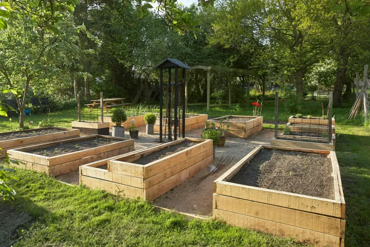 En vacker trädgård med flera nybyggda odlingslådor i trä, redo för plantering. Perfekt för att bygga odlingslåda och njuta av egenodlat.