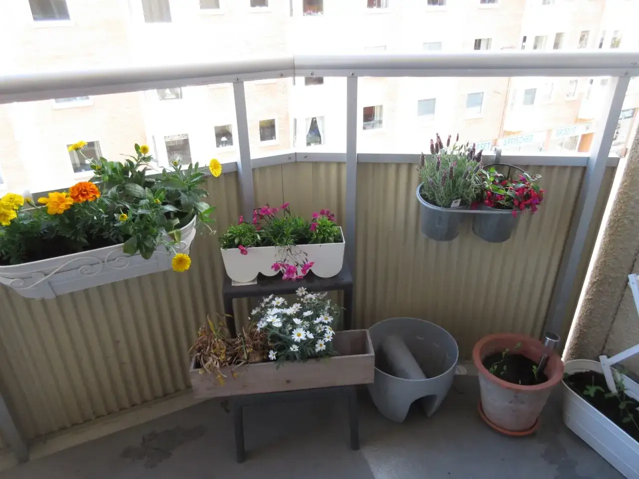 En balkong med blommor i krukor, inklusive en lavendel i kruka som doftar gott.