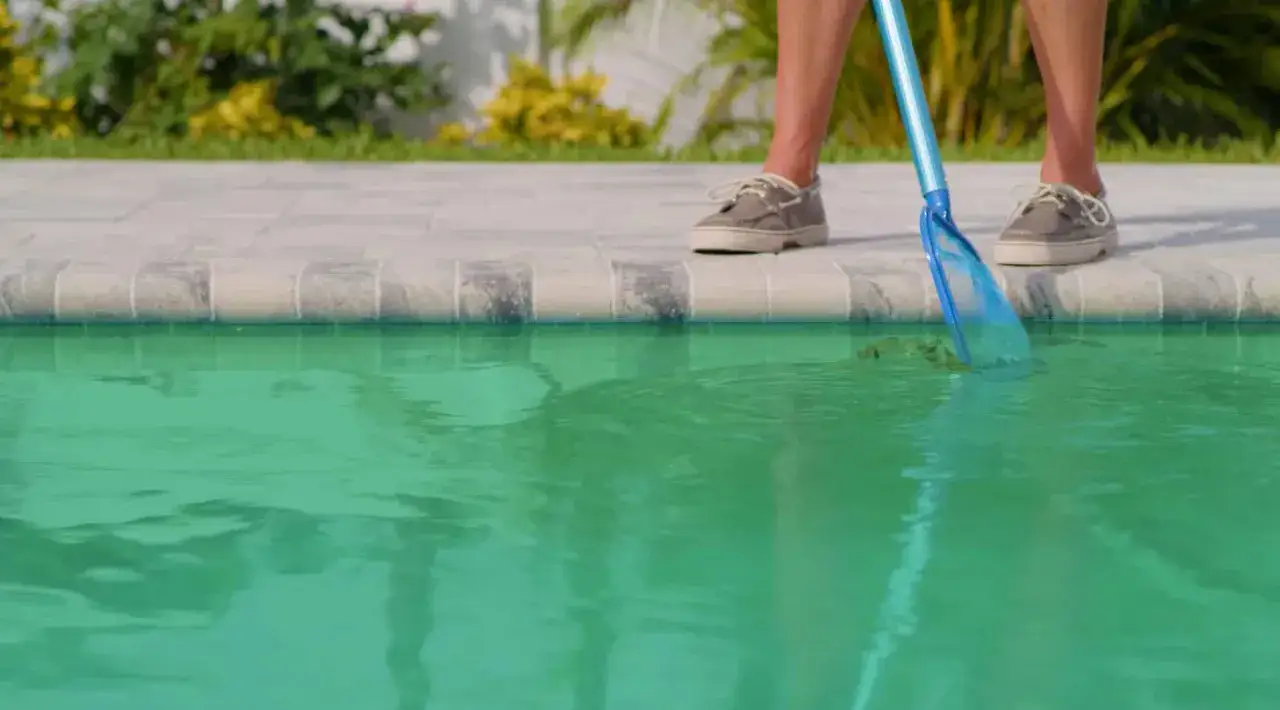 Person rensar bort alger i poolen med ett n&auml;t.