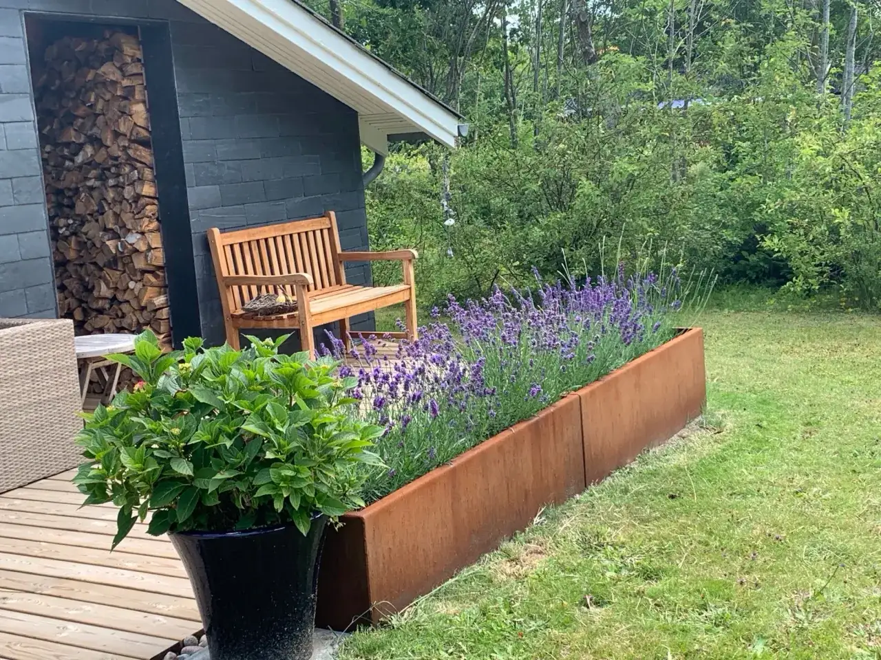 En tr&auml;b&auml;nk st&aring;r vid en byggnad med vedf&ouml;rvaring. Framf&ouml;r b&auml;nken blommar lavendel i en rabatt, en vacker kontrast till de buskar som trivs i skugga bakom.